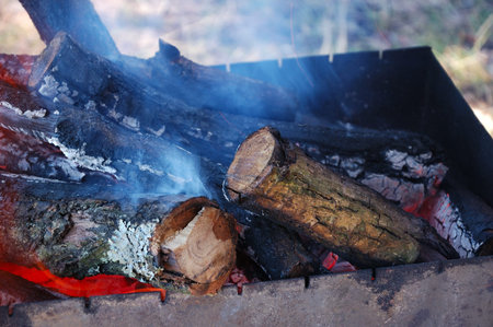 Fire burns in the grill in nature.