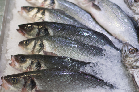 A lot of frozen fish in the ice in the store.の写真素材