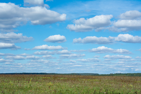 Simple rural landscape: overgrown field and blue sky.の写真素材