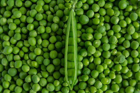 Beautiful background macro of green fresh peas and pea pods. Health food.