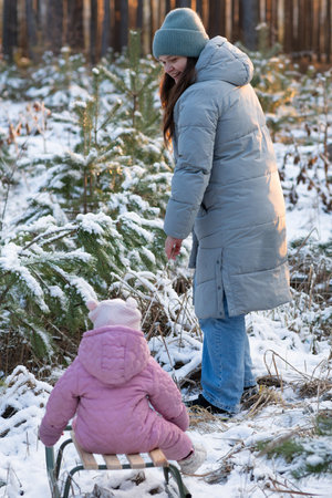 Mother pulling her little daughter on a sled in a snowy forest at sunsetの写真素材