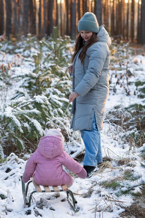 Mother pulling her little daughter on a sled in a snowy forest at sunset.の写真素材