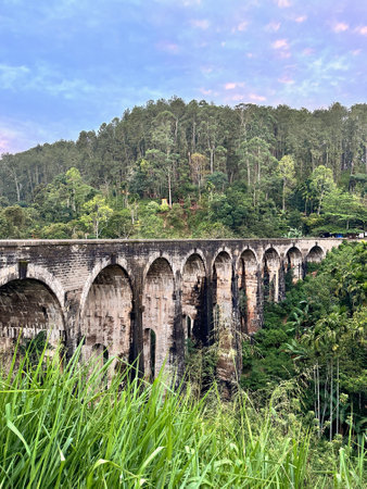 Historic stone railway bridge surrounded by lush green jungle and tall forest trees.の写真素材