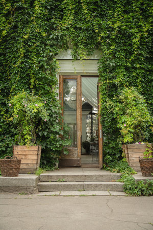 Old wooden door with ivy growing around itの写真素材