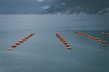 Rows of floating buoys on calm bay with misty mountains in background. Minimal composition and soft...