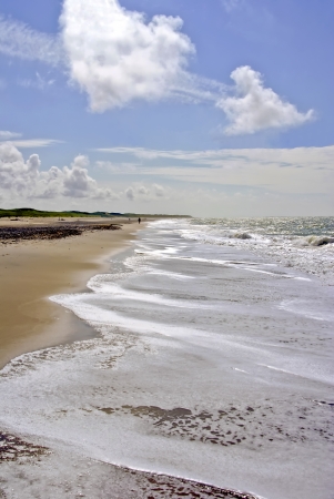 coastline  - The coastline at the north sea in Denmark  の写真素材