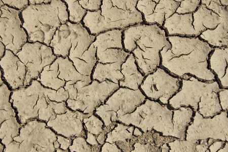 Loamy Ground - A desiccated puddle along a dirt roadの写真素材