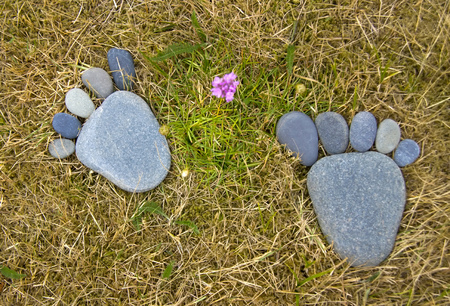 Two feet made with pebble stones of green grass.の写真素材