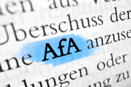 AfA is the German word for depreciation. Used in accounting.