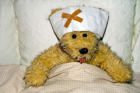 Teddy lying sick in bed.の写真素材