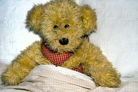Teddy lying sick in bed.の写真素材
