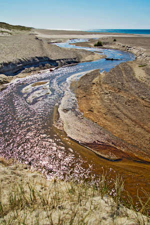 A creek with silt and aquatic plantsの写真素材