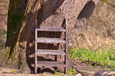 old wooden ladder from a ship is stranded at a coastal areaの写真素材