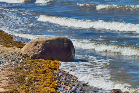 A big rock on the lake shore at the Limfjord in Denmarkの写真素材