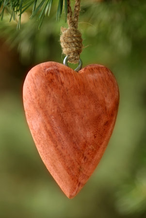 Wooden heart on a branch of a christmas tree, close-upの写真素材