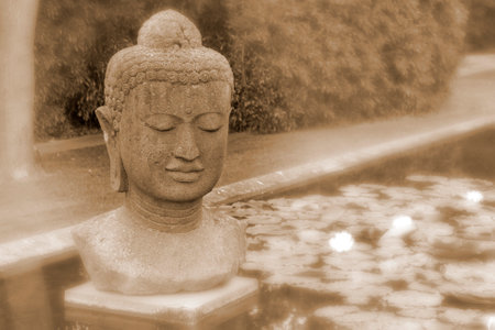Buddha statue in the garden, sepia toned with blurred background.の写真素材