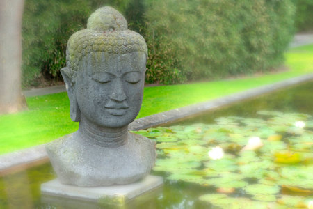 Buddha statue in the garden with water lily pond with blurred background.の写真素材