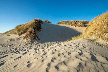 Sand dunes and blue sky at Island of Romo, Denmark.の写真素材