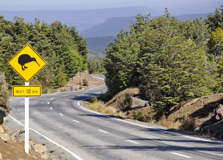 Kiwi road sign 
