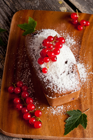 chocolate cake with red currantの写真素材
