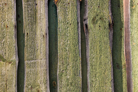 Natural wood texture, background. Top view, copy space.