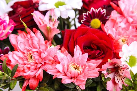 Background of roses, dahlia and chrysanthemums close-up.の写真素材