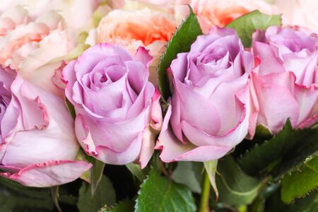 A bouquet of hybrid tea roses and floribunda close-up.の写真素材