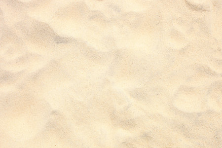 Dry sand on the sea beach. Background
