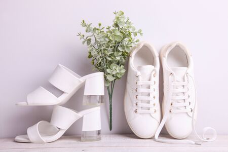 Stylish female sandals and sneakers on a white background.の写真素材