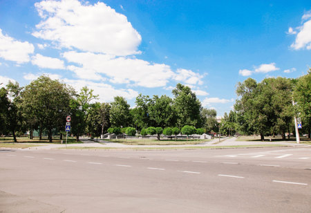 Asphalt road against the background of the city park.