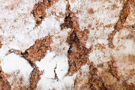 The texture of a loaf of round rye bread, close-up.