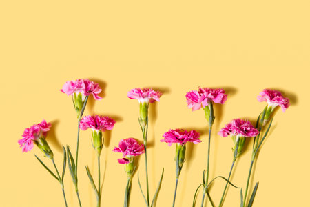 Pink carnations on orange background. pattern.