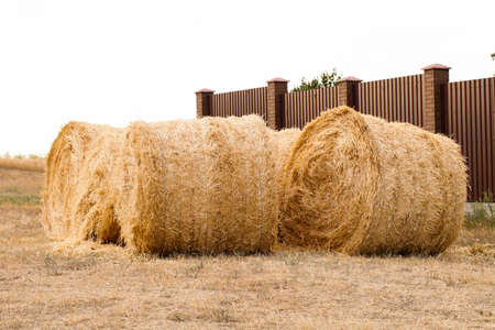 Haystacks on summer day. harvesting.の写真素材
