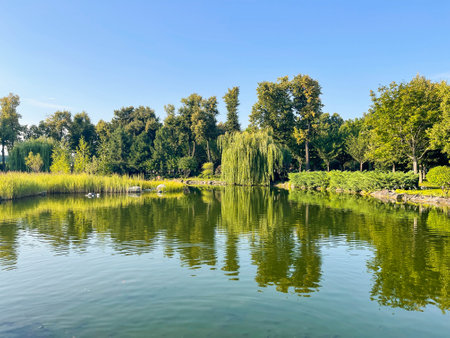 Beautiful artificial lake in the park. Landscaping.の写真素材