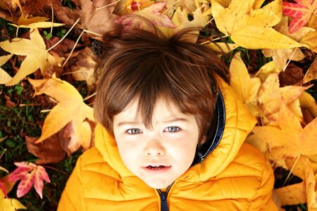 Portrait of cute little toddler boy in bright yellow jacket lying on gras with colorful yellow and pink autumn leaves around looking at camera. Fall season lifestyle.の写真素材