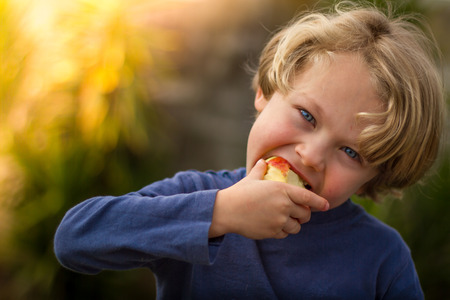 A blonde haired 5 year old child eating an apple at sunsetの写真素材