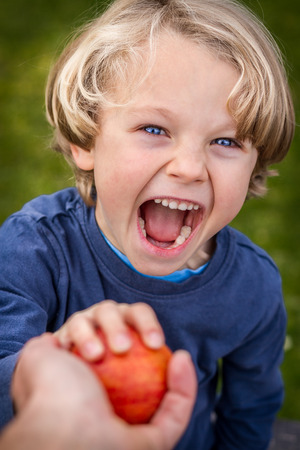 close up of 5 year old child with blonde hair and blue eyes reaching up towards the camera to grab an apple being offered to himの写真素材