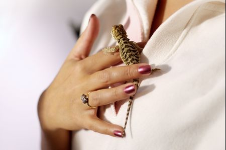 woman holding  bearded dragonの写真素材