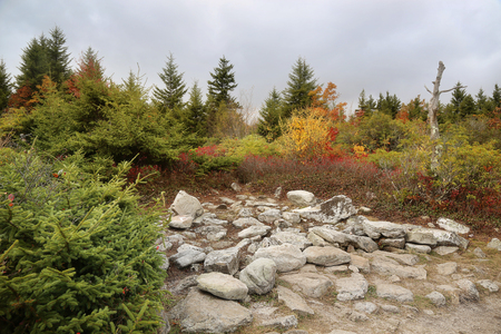 rocky plateau of the hills of Dolly Sods West Virginia mountainsの写真素材