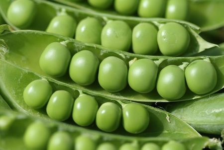 Close-up of green  peaの写真素材