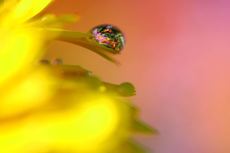 Close-up of dropの写真素材