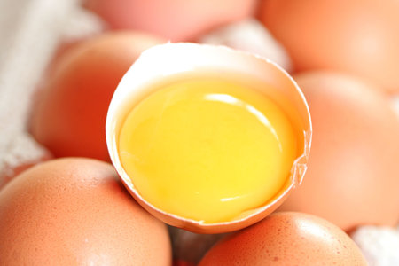 Close-up of raw yolk