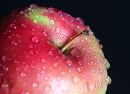 Close up of red appleの写真素材