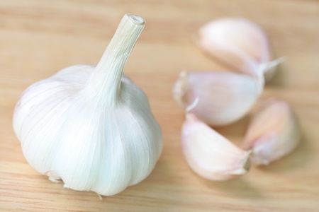 Close-up of garlicの写真素材