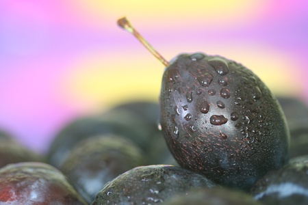 Close-up of  plumの写真素材