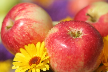 Close-up of applesの写真素材