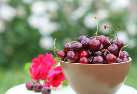 Close-up of fresh cherryの写真素材