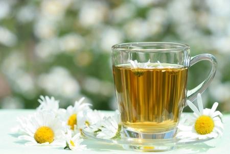 Close-up of herbal teaの写真素材