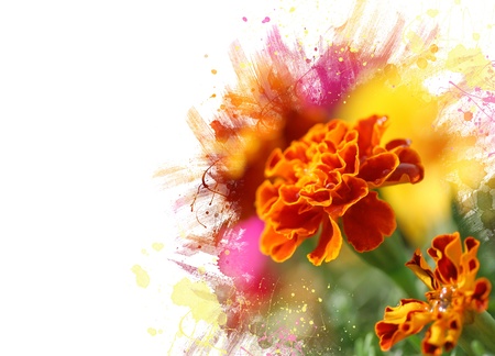 Close up of tagetes flower.Watercolor effectの写真素材