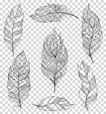 Set of black feathersのイラスト素材